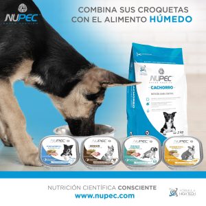 latas Nupec para perro