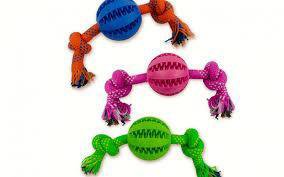 Juguete para perro pelota masaje con cuerda