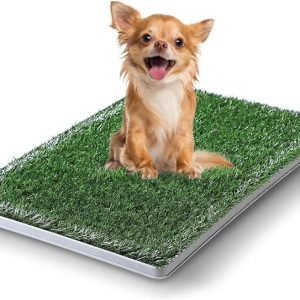 Alfombra sanitaria entrenadora