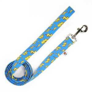 Correa de paseo diseño de rayos