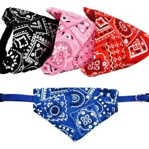 Paliacate para mascotas