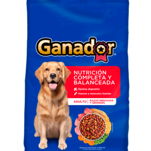 Ganador, adulto 20kg