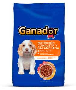 Ganador, cachorro