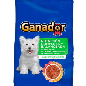 Ganador, cachorro razas pequeñas