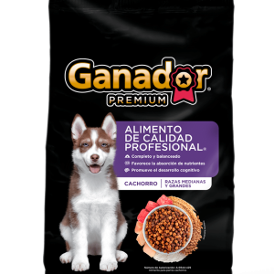 Ganador premium, cachorro
