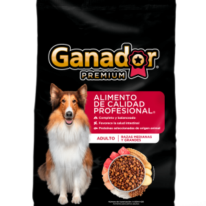 Ganador premium, adulto