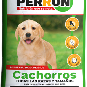 Perron, cachorro